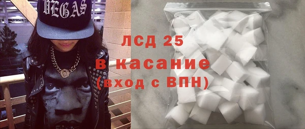прущие грибы Приозерск