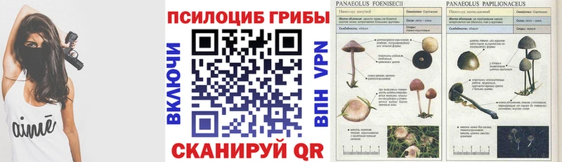 Галлюциногенные грибы Cubensis  как найти закладки  Реж 